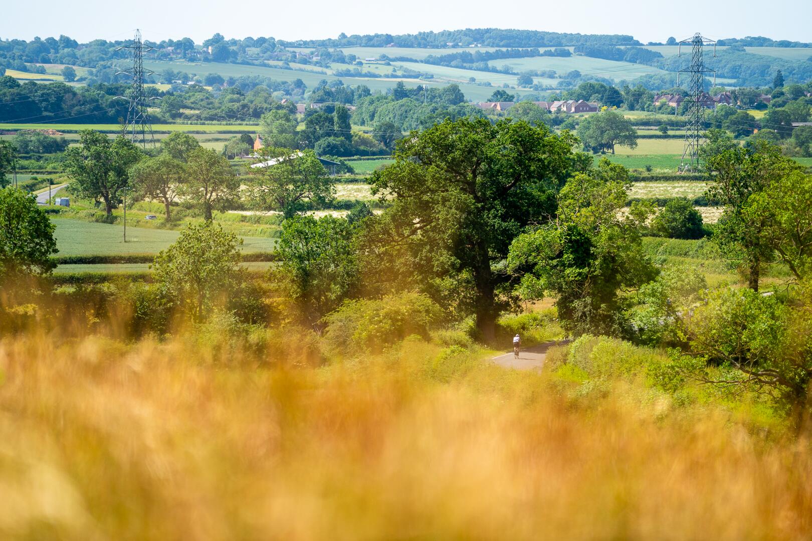 The soft country of the Chilterns on stage six